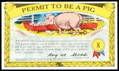 8 Permit To Be A Pig